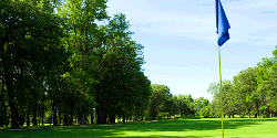 Cypress Tree Golf Course